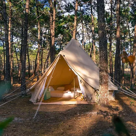 Kampaoh Sao Pedro De Moel *